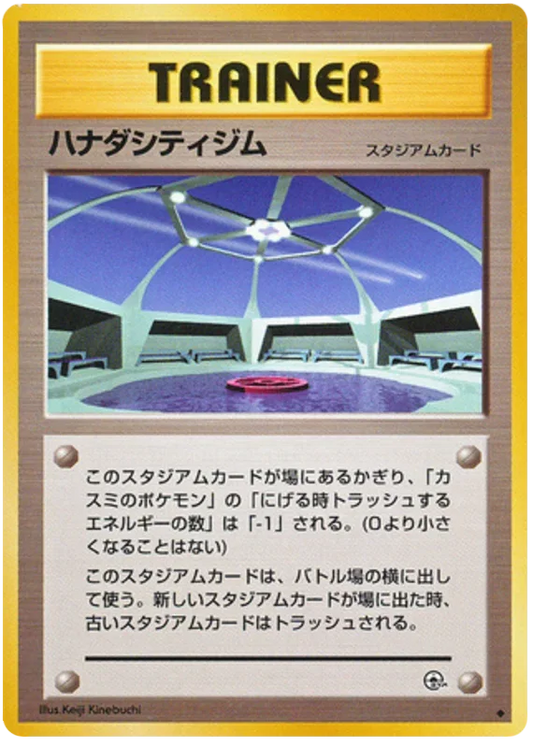 Cerulean City Gym